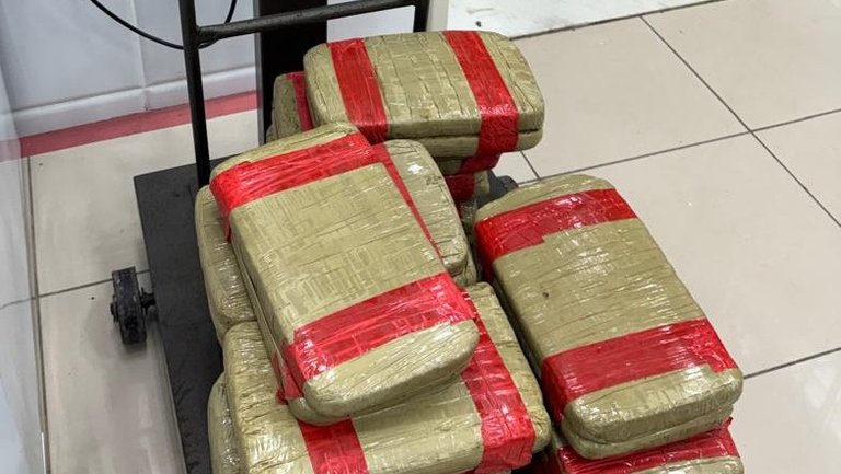 Mulher vinda de Manaus é presa no Aeroporto de Fortaleza com 32 kg de skunk