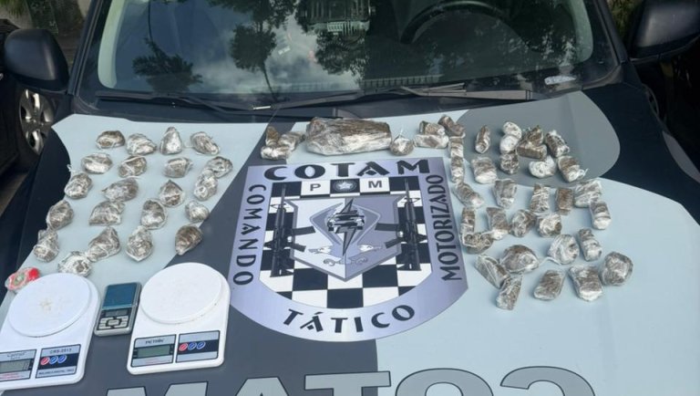 PM apreende 1,7 kg de maconha em imóvel abandonado no bairro Boa Vista, em Fortaleza