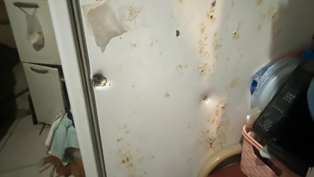 Mulher fica ferida após ataque a tiros na Favela do Brejo, em Messejana