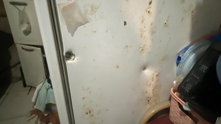 Mulher fica ferida após ataque a tiros na Favela do Brejo, em Messejana