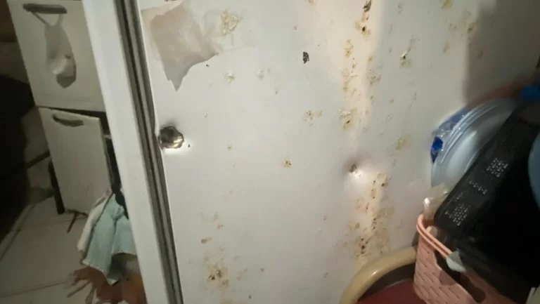 Mulher fica ferida após ataque a tiros na Favela do Brejo, em Messejana