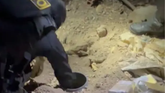 Polícia encontra quase 14 kg de drogas enterrados sob árvore em Iguatu