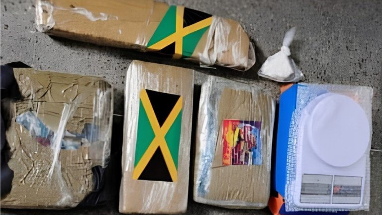 Polícia apreende quatro quilos de maconha que seriam enviados ao interior do Ceará