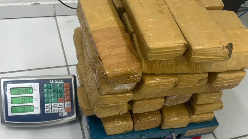 Carga com 24 kg de skunk vinda de São Paulo é interceptada em Fortaleza